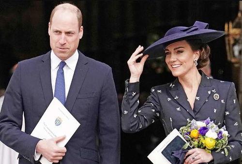 王室最新爆料新闻视频,最新爆料视频揭露王室不为人知的一面